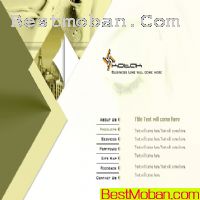 ´ŷҳģpsd