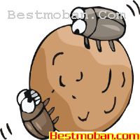 ʸز7097
