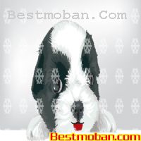 ʸز955