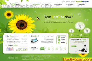 2008ҳģϵа7PSD