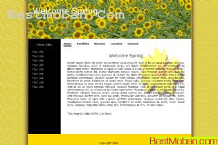 WEB׼ģŷϵ293