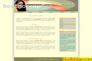 WEB׼ģŷϵ204