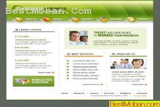 Ʒվ棭ŷҳҪģ8PSD,1FLA,HTML10837
