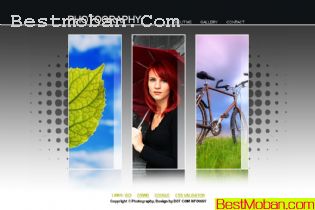 WEB׼ģŷϵ409