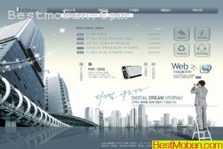 2008ҳģϵʮ7PSD