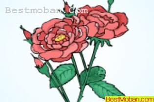 ˽ڷҷõ廨ʸز240
