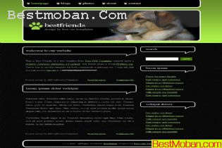 WEB׼ģŷϵ439