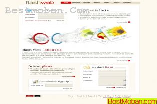 WEB׼ģŷϵ376