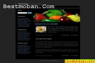 WEB׼ģŷϵ463
