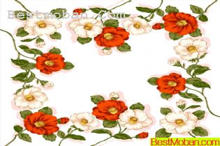 PSDֲ㻨ز013