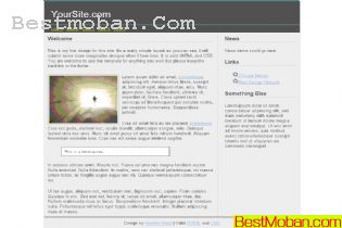 WEB׼ģŷϵ283