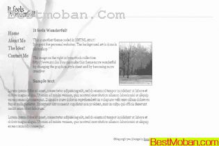 WEB׼ģŷϵ294