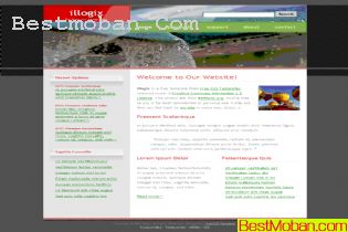 WEB׼ģŷϵ338