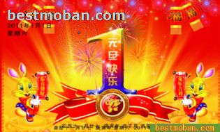 2011Ԫģ